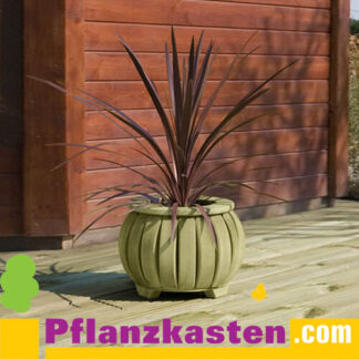 Pflanzkasten Kiefer rund 35x27cm*