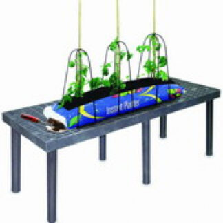 Pflanzstätte, Tisch 6*