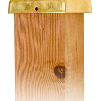 Pfostenkappen Messing Flach 71mm*
