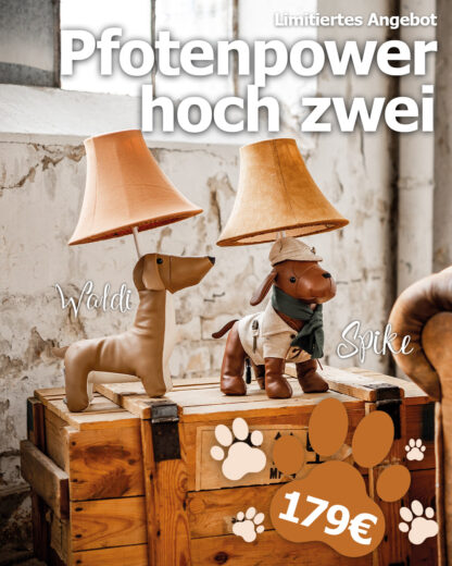 Pfotenpower hoch zwei! Spike und Waldi*