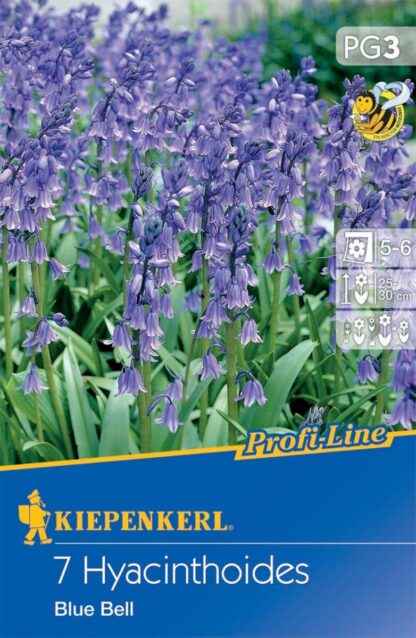 Profi-Line Hasenglöckchen 'Blue Bells', 7 Zwiebeln, blau*