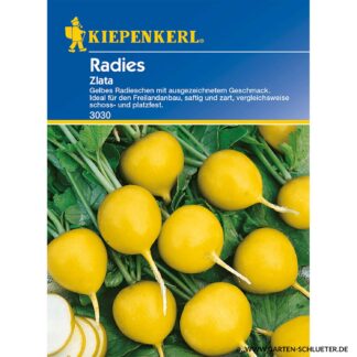 Radies 'Zlata' Lieferform: Portionssaatgut*