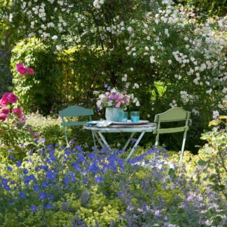 Rosenbeet "Romantischer Gartencharme", 10 Pflanzen*