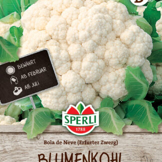 SPERLI Blumenkohl-Samen 'Bola de Neve'(Erfurter Zwerg)*