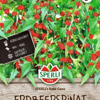 SPERLI Erdbeerspinat-Samen 'Rote Gans'*