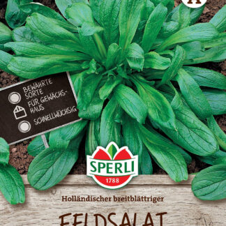 SPERLI Feldsalat-Samen 'Holländischer breitblättriger'*