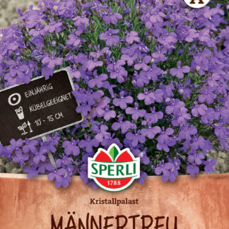 SPERLI Männertreu-Samen 'Kristallpalast', blau*