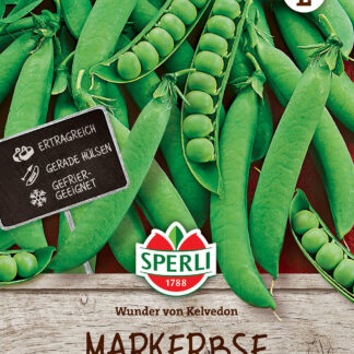 SPERLI Markerbsen-Samen 'Wunder von Kelvedon'*