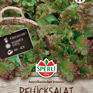 SPERLI Pflücksalat-Samen 'Amerikanischer brauner'*