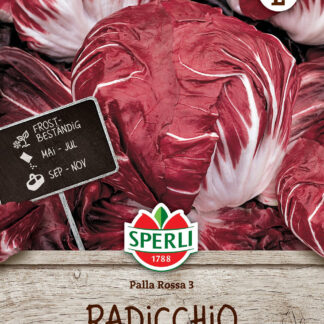 SPERLI Radicchio-Samen 'Palla Rossa 3'*