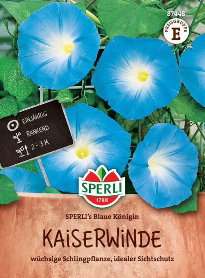 SPERLI SPERLI's Kaiserwinde 'Blaue Königin', blau*