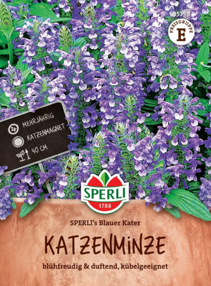 SPERLI SPERLI's Katzenminze 'Blauer Kater', violett*