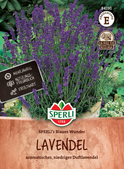 SPERLI SPERLI's Lavendel 'Blaues Wunder', violett*