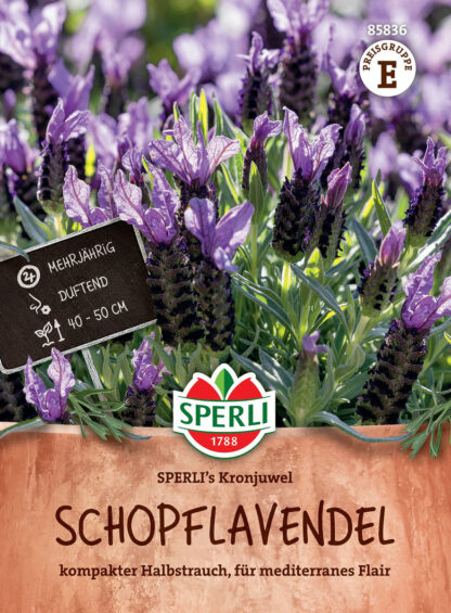 SPERLI SPERLI's Lavendel 'Kronjuwel', violett*