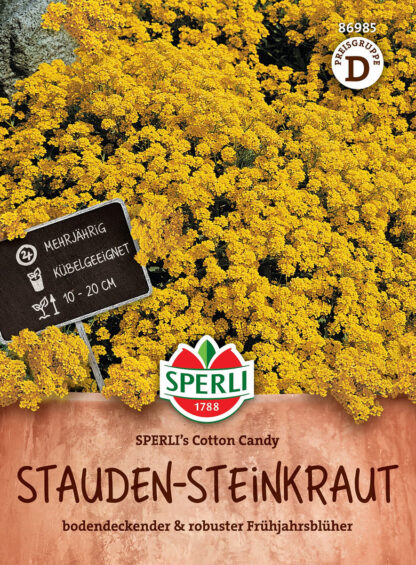 SPERLI SPERLI's Stauden-Steinkraut 'Cotton Candy', bunt*