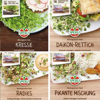 SPERLI Saatgut-Set "Bunte Bio-Sprossenvielfalt", 4 x Saatgut*