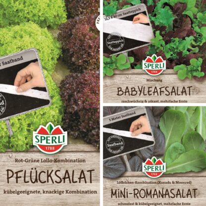 SPERLI Saatgut-Set "Frische Salatvielfalt - Easy Gardening", 3 x Saatgut*
