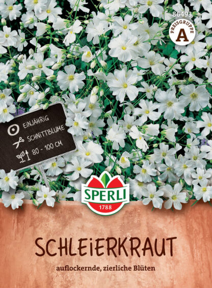 SPERLI Schleierkraut*