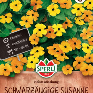 SPERLI Schwarzäugige Susannen-Samen 'Helios Mischung', gelb*