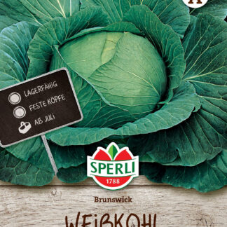 SPERLI Weißkohl-Samen 'Brunswick'*