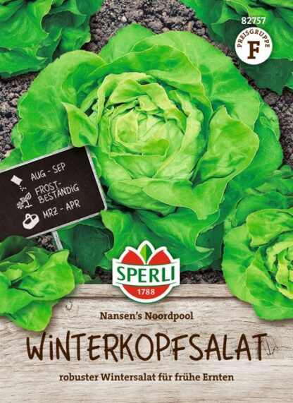 SPERLI Winterkopfsalat 'Nansen's Noordpool'*