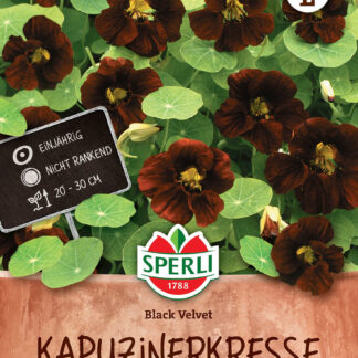 SPERLI's Kapuzinerkresse-Samen 'Black Velvet', schwarz*