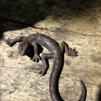 Salamander schöne Eidechse, Dekoration Gecko, Brief-Beschwerer aus Gusseisen*