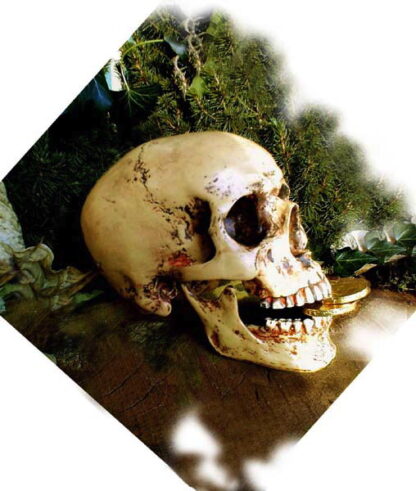 Schädel, anatomisch lebensecht, Totenkopf, Totenschädel + Unterkiefer, Gothik*