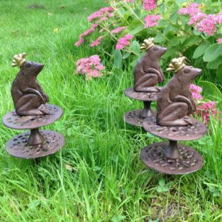Schlauchführung mit Froschkönig, Gartenschlauch - Führung mit Frosch*