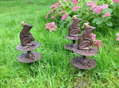 Schlauchführung mit Froschkönig, Gartenschlauch - Führung mit Frosch*