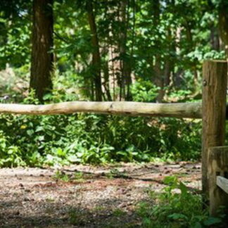 Sperrbaum kastanienholz 400cm*