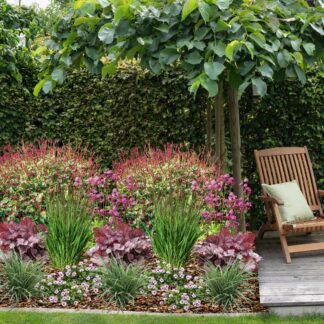 Staudenbeet "Rote Harmonien im Halbschatten", 16 Pflanzen, bunt*