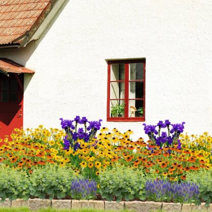 Staudenbeet "Sonniger Bauerngarten", 16 Pflanzen*