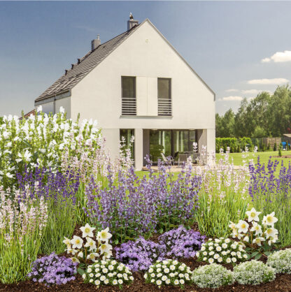 Staudenbeet "Summendes Bienenparadies", 19 Pflanzen, bunt*
