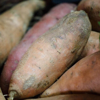 Süßkartoffel, weiß*