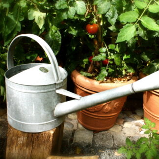 Verzinkte Gießkanne für den Garten, Blumen-Gießkanne, Kanne als Blumengießer*
