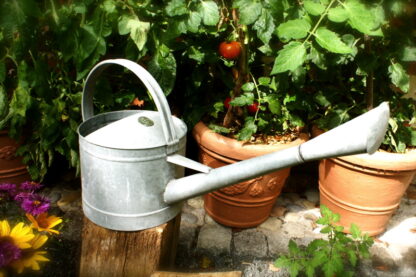 Verzinkte Gießkanne für den Garten, Blumen-Gießkanne, Kanne als Blumengießer*