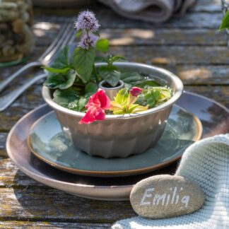 Wasserpflanzen "Rote Brise", 8 Pflanzen, 8 Pflanzen*