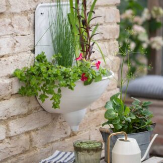 Wasserpflanzen "Uferromantik", 11 Pflanzen, 11 Pflanzen*