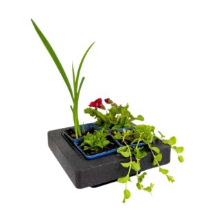 Wasserpflanzen mit Schwimminsel, 4 Pflanzen, 4 Pflanzen, Pflanzinsel, Pflanzkorb, bunt*