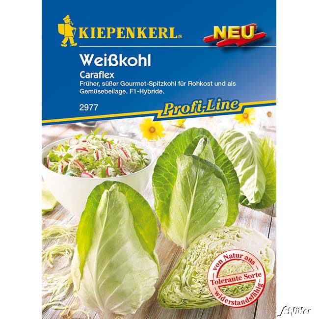 Weißkohl 'Caraflex' Lieferform: Portionssaatgut*