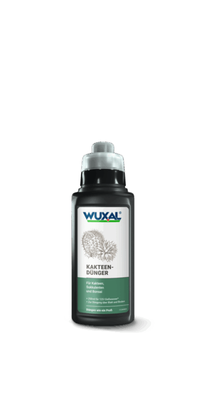Wuxal Kakteendünger 250 ml*