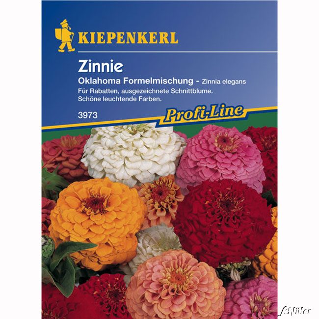 Zinnien 'Oklahoma' (Mischung) Lieferform: Portionssaatgut*